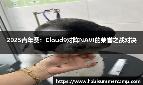 九游会j9