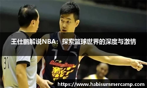 王仕鹏解说NBA：探索篮球世界的深度与激情